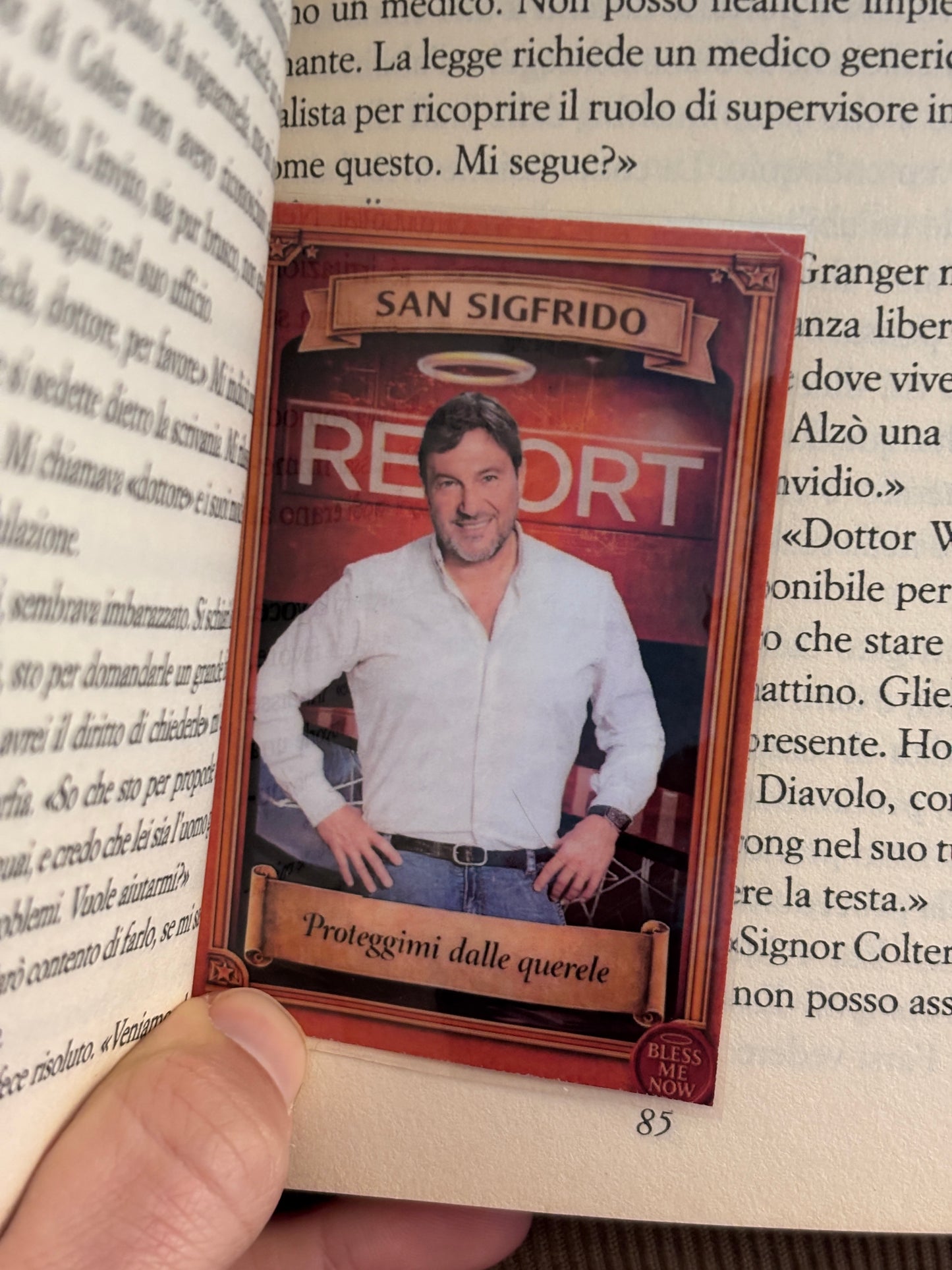San Sigfrido Ranucci - Proteggimi dalle querele!