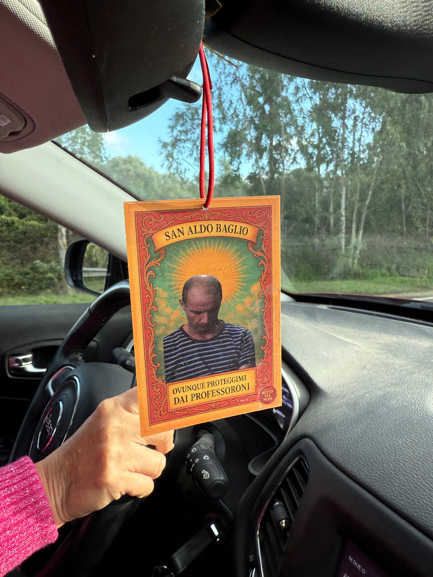 San Aldo - Proteggimi dai Professoroni!