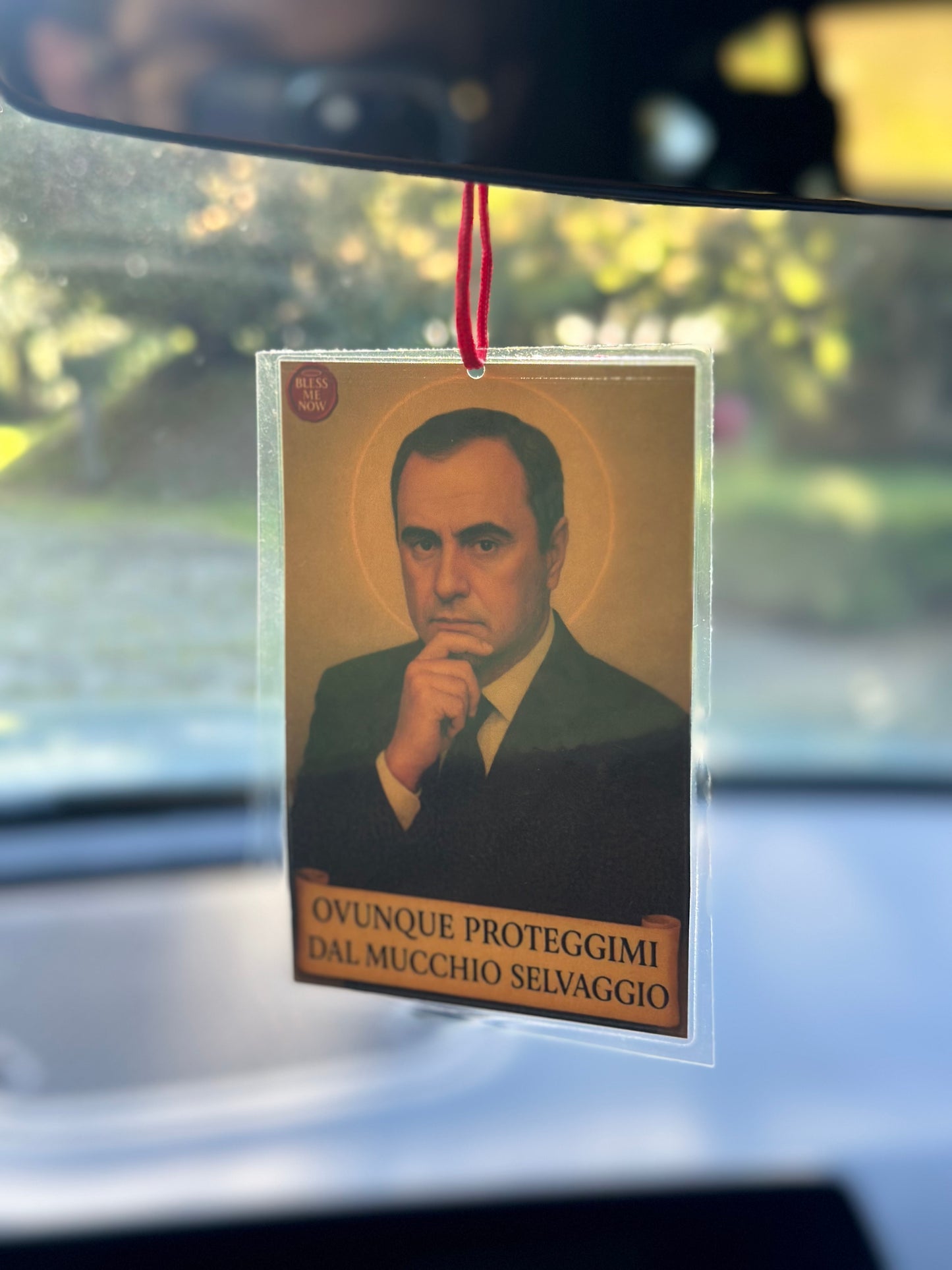 San Piccinini - Proteggimi dal Mucchio Selvaggio!